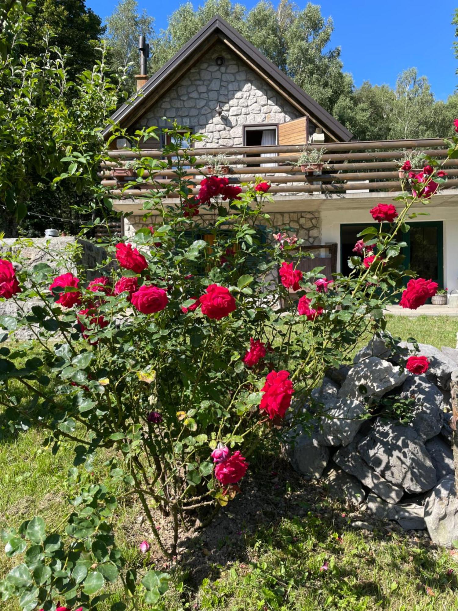 Sanmari_Forest Ledenice Exterior photo